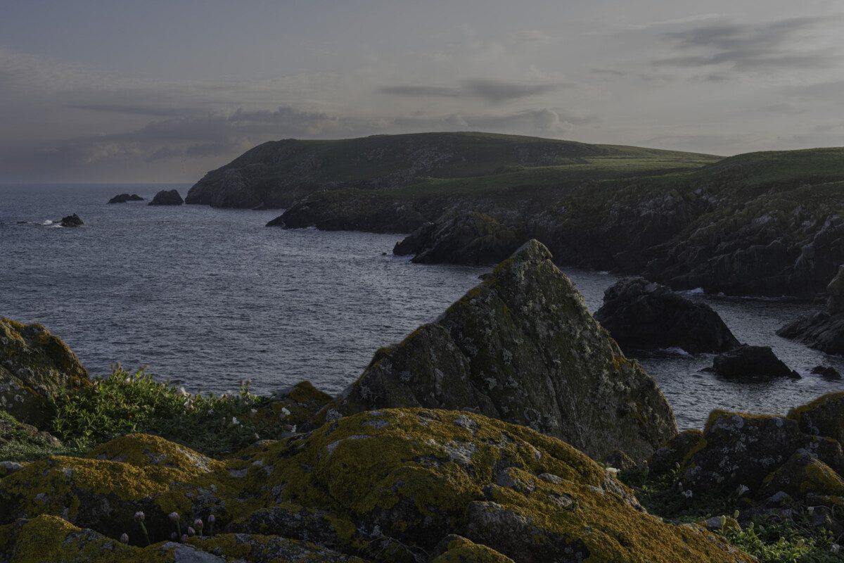 View of the cliffs of Great Saltee