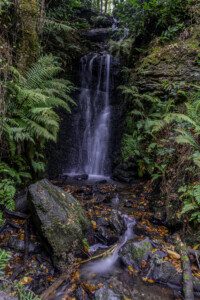 Eden Vale waterfalls