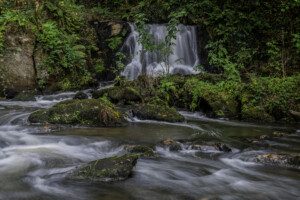 Eden Vale waterfalls