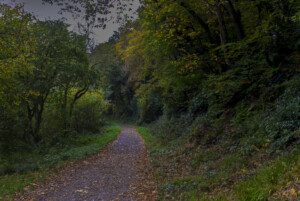 Autumn colours at Eden Vale, county Wexford