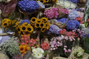 Flower stand on Grafton Street