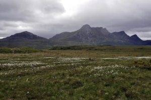 Ben Loyal view